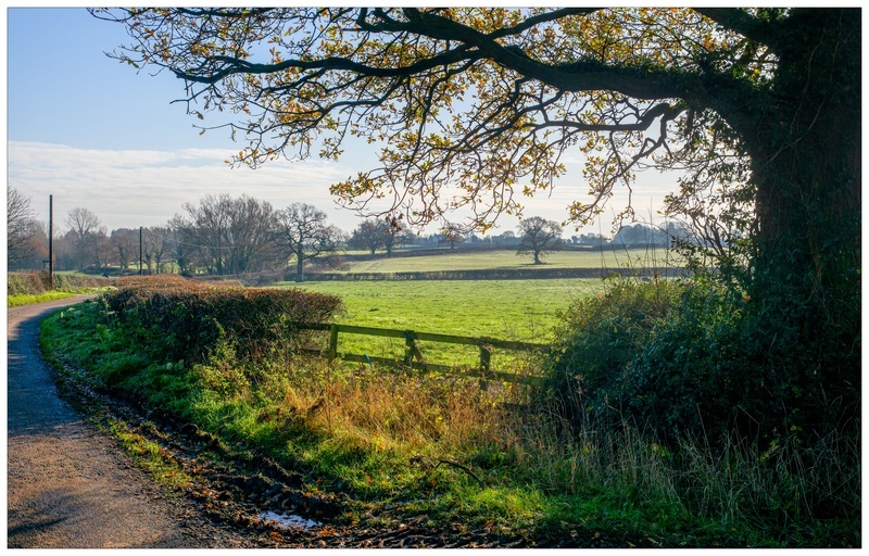 Along Yeldersley Lane - Derbyshire Landscapes