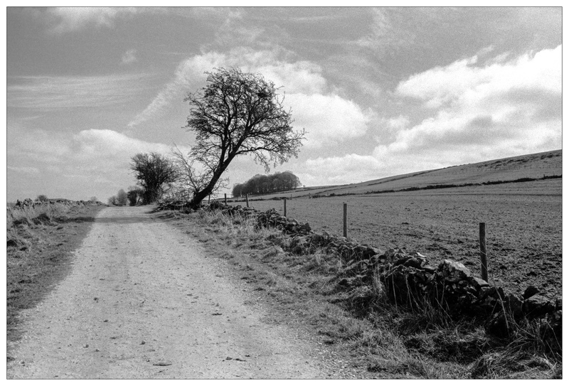 Towards Longedge Plantation - Derbyshire Landscapes