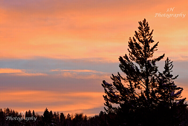 _DSC1885 - Grand Teton & Yellowstone National Park Landscapes