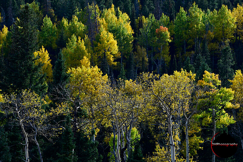 _DSC0686 - Western U.S. Landscapes