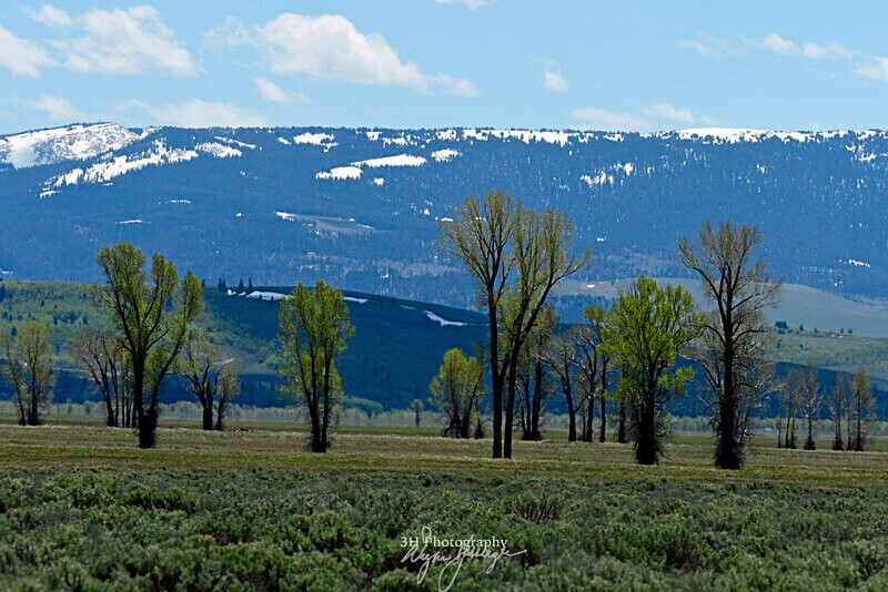 3HPhotography5-23-25_GTNP_1558_ - Grand Teton NP Spring Shoot - May 2025