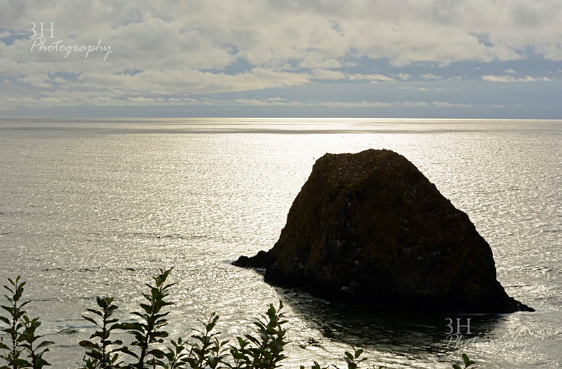 Haystack Rock OR - Western U.S. Landscapes