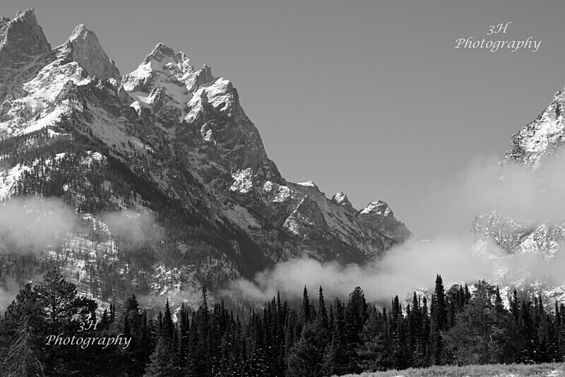 _DSC7527 - Grand Teton & Yellowstone National Park Landscapes