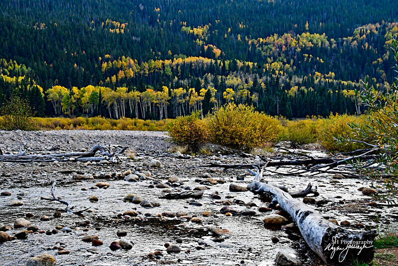 3HPhotography10-6-24_RMNP_0411_ - New Limited Editions - Rocky Mountain National Park