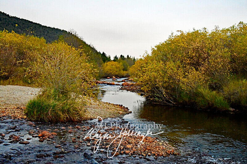 3HPhotography10-6-24_RMNP_0506_ - New Limited Editions - Rocky Mountain National Park