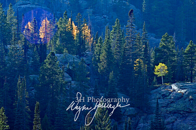 3HPhotography10-6-24_RMNP_0110_ - Western U.S. Landscapes