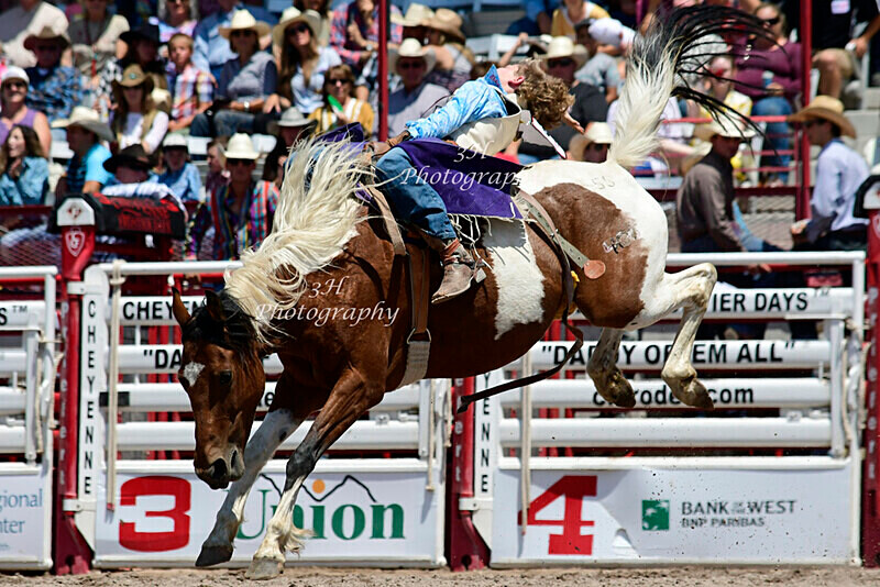 JCook_3792 - Rodeo:  Professional, Amateur, & Youth Rodeo