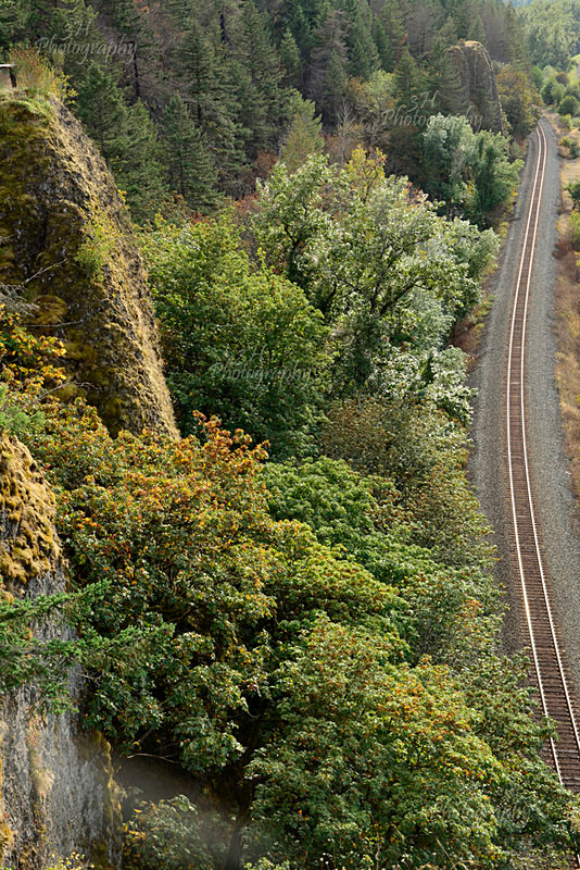 Columbia Gorge - Western U.S. Landscapes