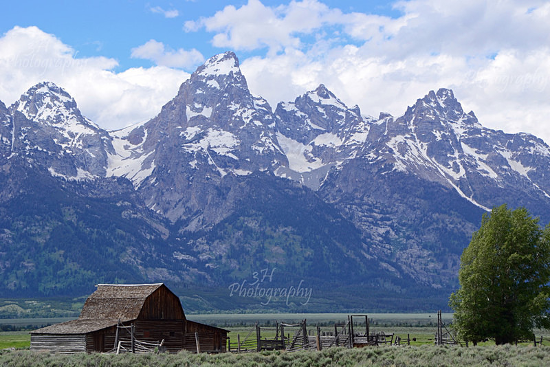 Moulton Barn at Mormon Row - Grand Teton & Yellowstone National Park Landscapes