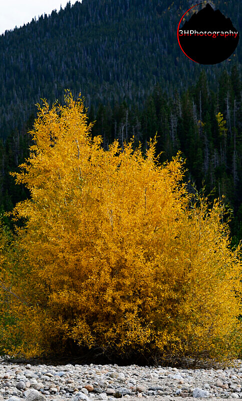 _DSC0615 - Western U.S. Landscapes