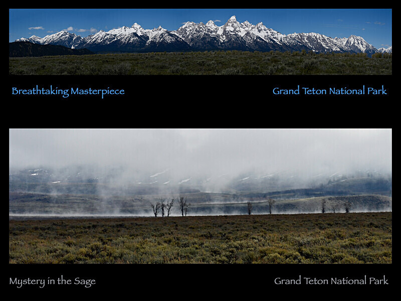 2026 Images From Nature Calendar FEB PHOTO - The 2026 Scenic Images Calendar Pictures