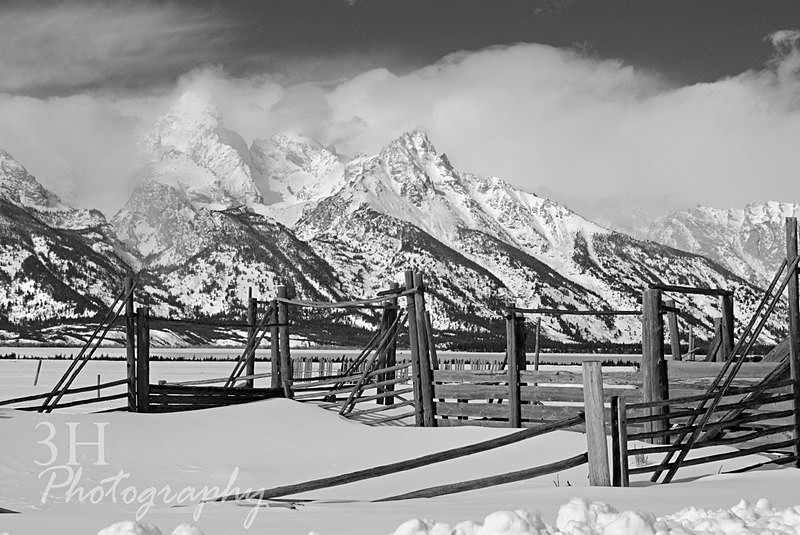 Vintage Teton Loading Corral BW2 - 3H Note Card Images