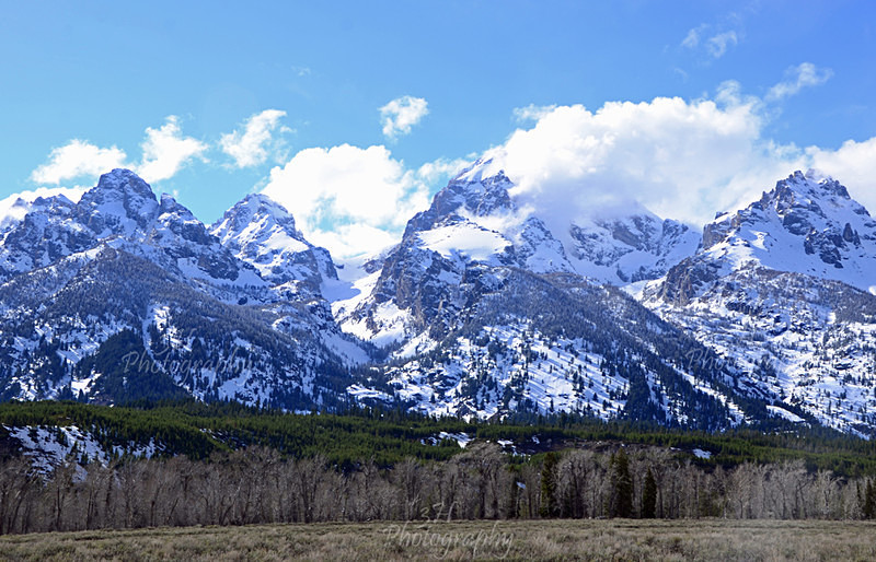 The Seasons Meet - Grand Teton & Yellowstone National Park Landscapes