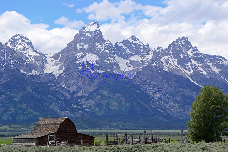 Moulton Barn at Mormon Row - 3H Note Card Images