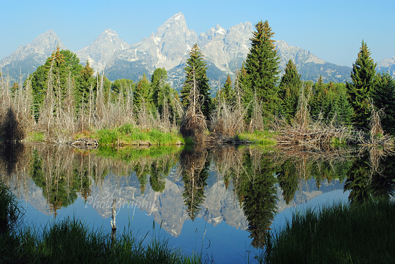 Tetons Reflections - Grand Teton & Yellowstone National Park Landscapes