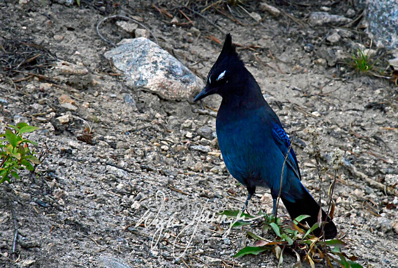 3HPhotography10-6-24_RMNP_0214_ - New Limited Editions - Rocky Mountain National Park