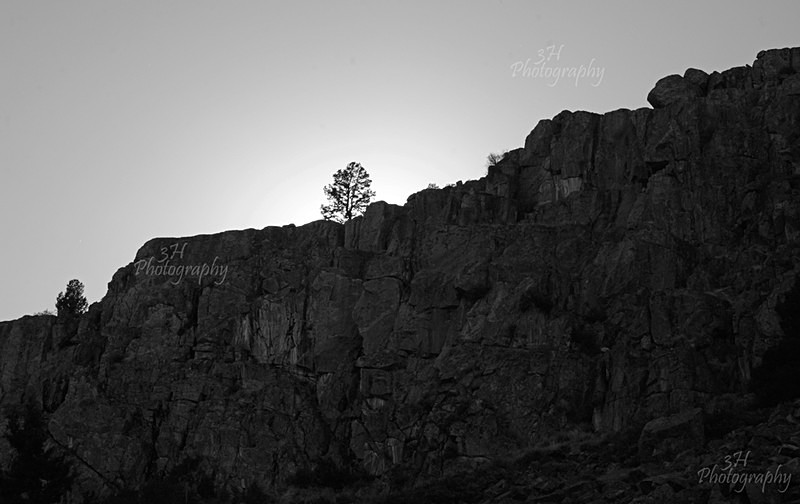 Lone Tree Awaits Sunset - Wyoming Landscapes