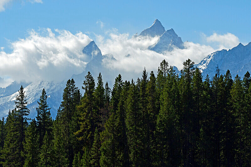 _DSC3458 - Grand Teton & Yellowstone National Park Landscapes