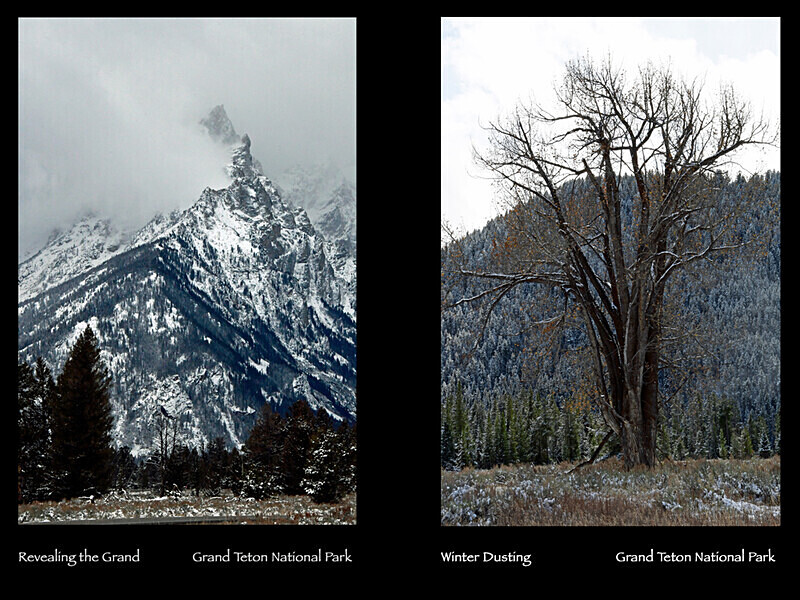 2026 Images From Nature Calendar MAR PHOTO - The 2026 Scenic Images Calendar Pictures