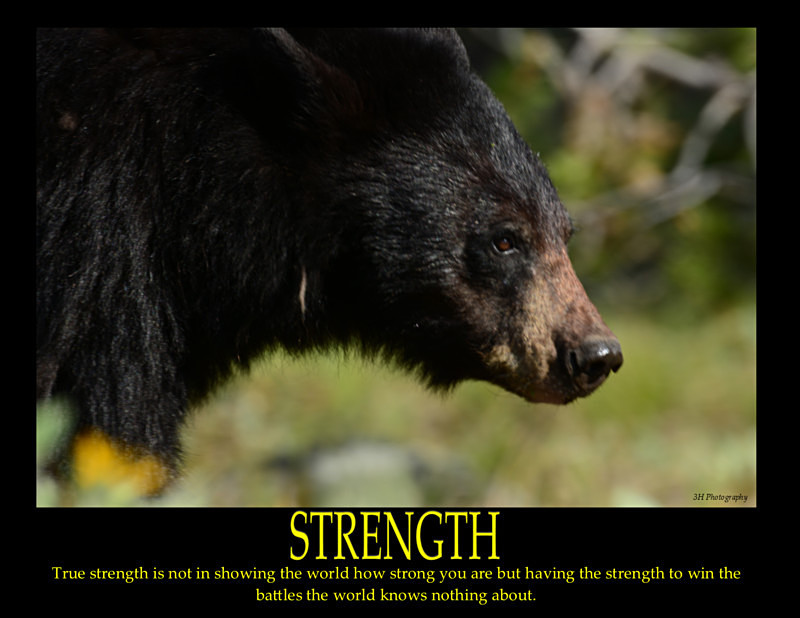Strength Poster with Border JULY 2016 - Inspirational Office & Classroom Art