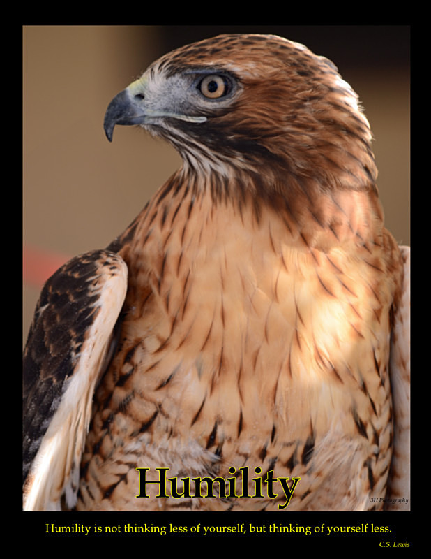 Humility Poster 2 with Border JULY 2016 - Inspirational Office & Classroom Art
