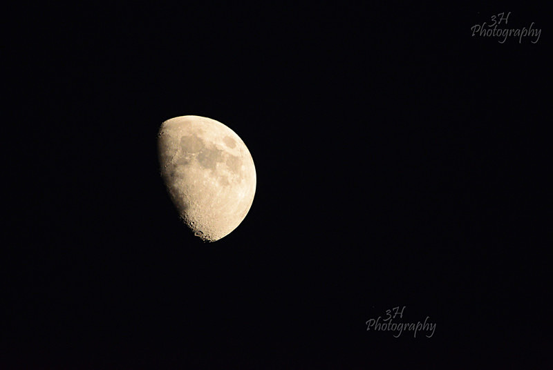 Teton Moon - Grand Teton & Yellowstone National Park Landscapes