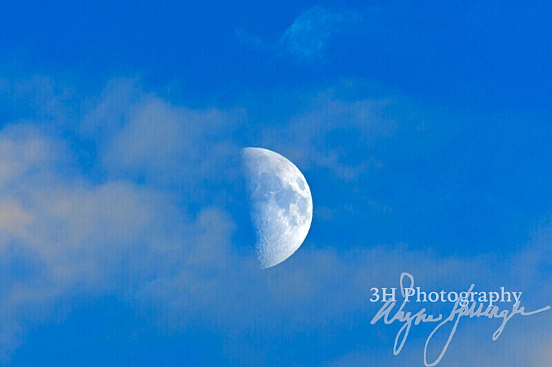 3HPhotography_Grand_Teton_OCT2025_00705 - Grand Teton NP Fall Adventure - OCT 2025