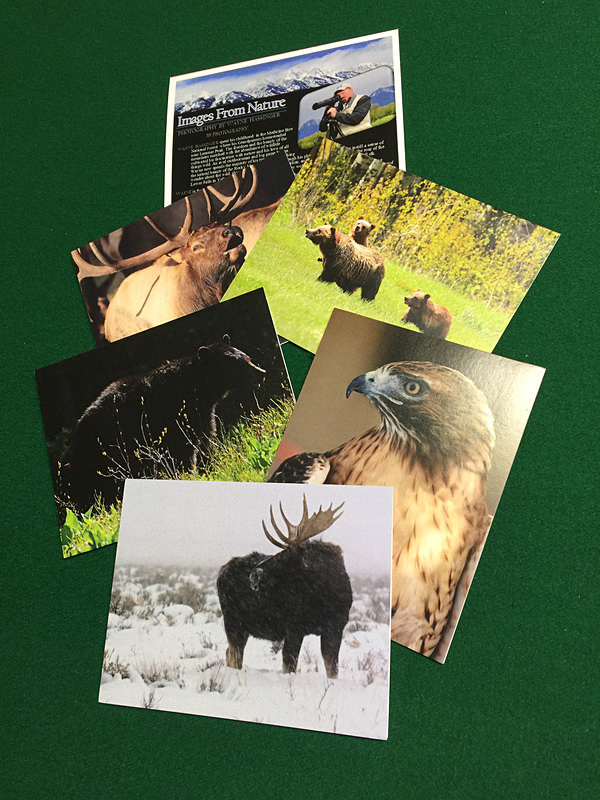 Sample Wildlife Cards 2017 - 3H Note Card Images