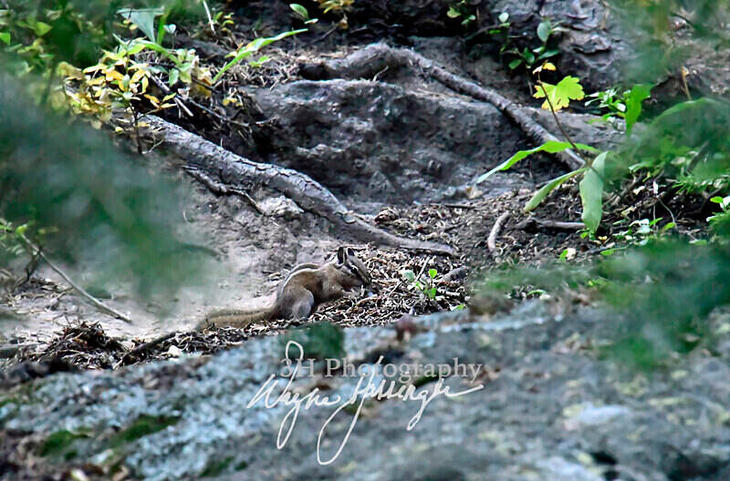 3HPhotography10-6-24_RMNP_0162_ - New Limited Editions - Rocky Mountain National Park
