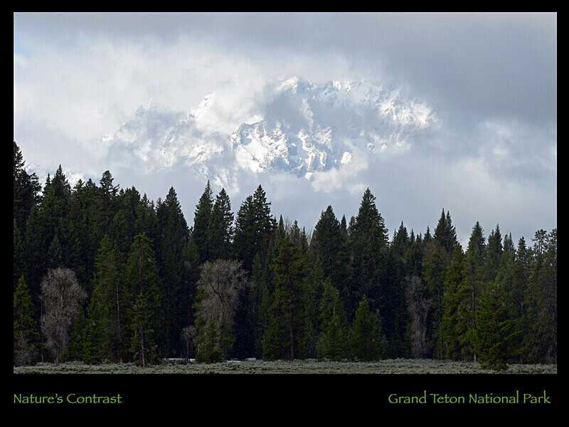 2026 Images From Nature Calendar MAY PHOTO - The 2026 Scenic Images Calendar Pictures