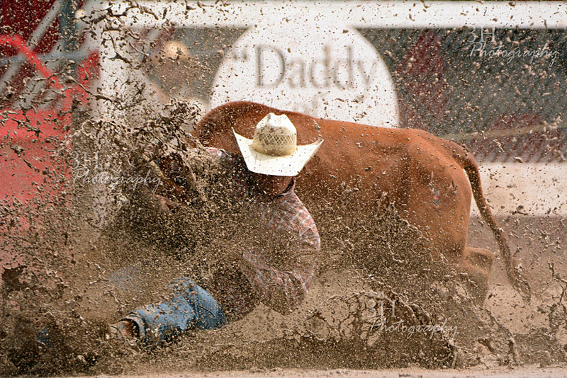 Whatever It Takes - Professional Rodeo