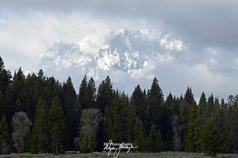 3HPhotography5-21-25_GTNP_532_ - Grand Teton NP Spring Shoot - May 2025