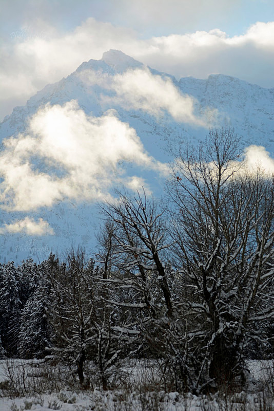 Edge of Winter - Grand Teton & Yellowstone National Park Landscapes