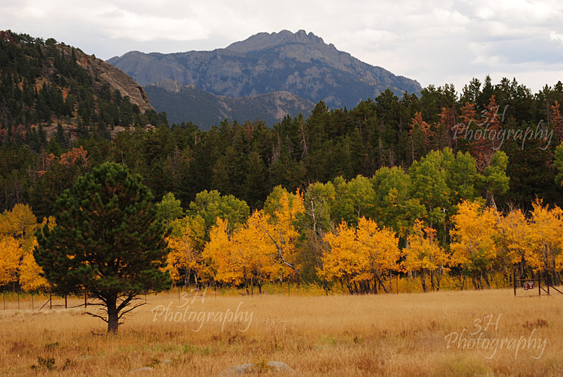 Changing Seasons - Western U.S. Landscapes