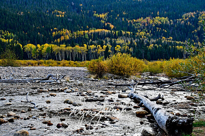 3HPhotography10-6-24_RMNP_0411_A - New Limited Editions - Rocky Mountain National Park