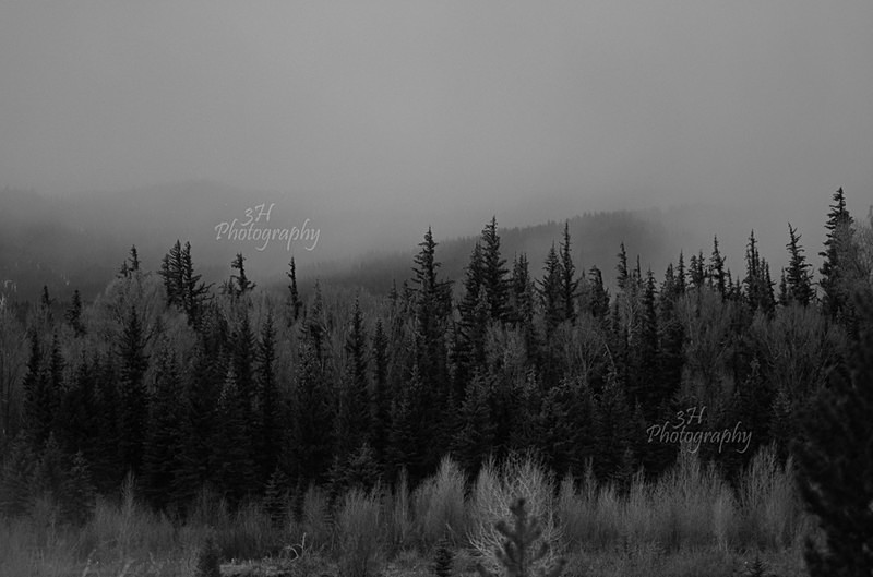 Mystic Teton Valley - Grand Teton & Yellowstone National Park Landscapes