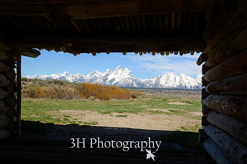 _DSC3194 - Grand Teton & Yellowstone National Park Landscapes