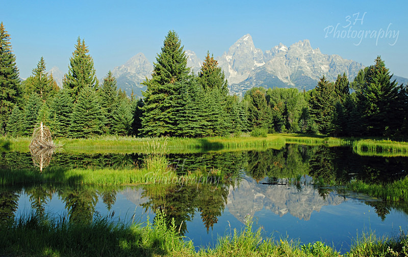 Schwabachers Landing - Grand Teton & Yellowstone National Park Landscapes