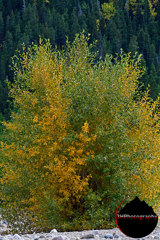 _DSC0624 - Western U.S. Landscapes