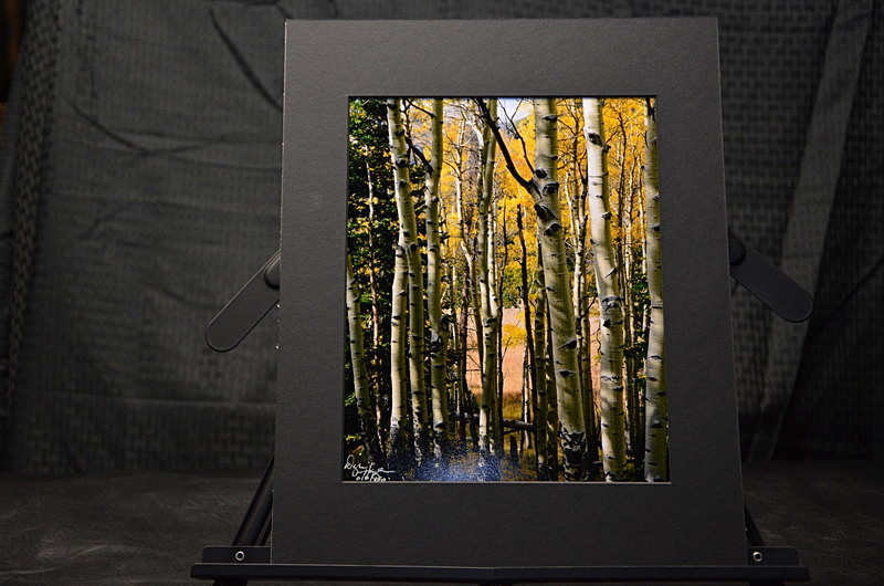 Through The Quakies - Matted - Finished Artwork
