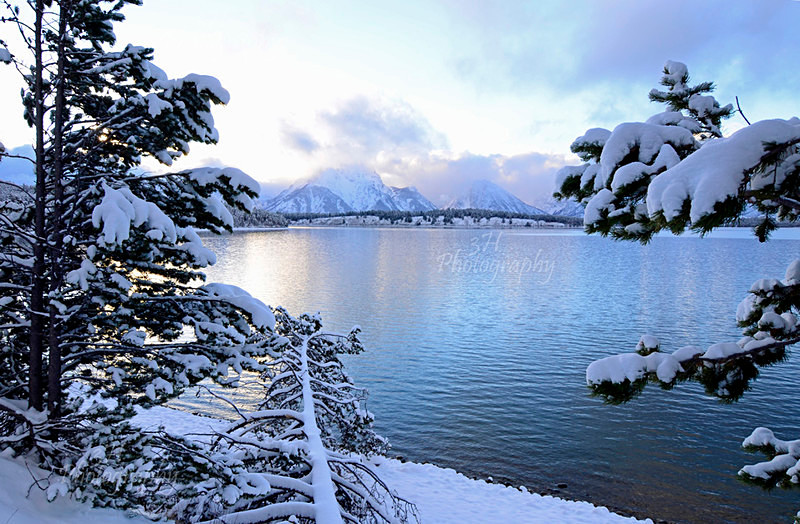 Fall Snow at Jackson Lake - Grand Teton & Yellowstone National Park Landscapes