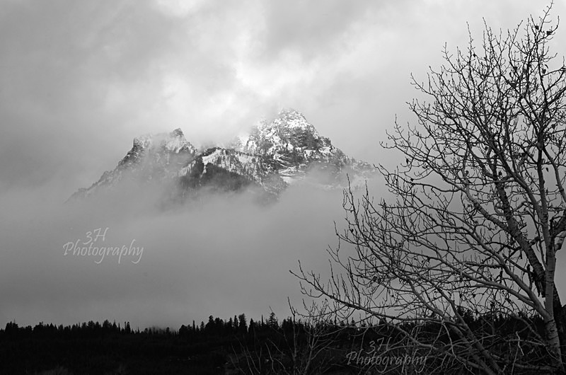 Unsettled Morning - Grand Teton & Yellowstone National Park Landscapes