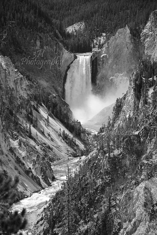 Lower Falls-Yellowstone-BW - Grand Teton & Yellowstone National Park Landscapes