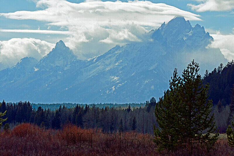 _DSC3461 - Grand Teton & Yellowstone National Park Landscapes