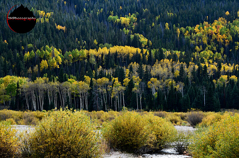 _DSC0638 - Western U.S. Landscapes