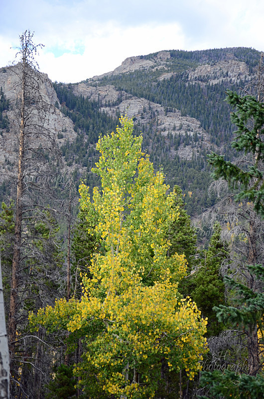 Fall in the Rockies - Western U.S. Landscapes