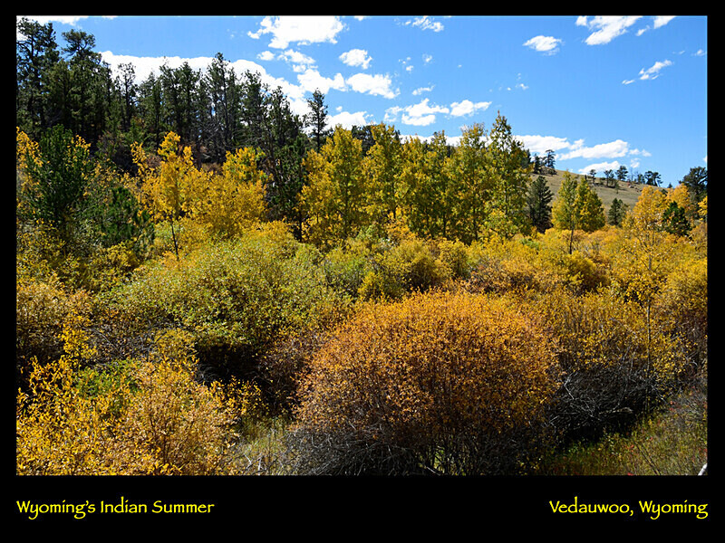 2026 Images From Nature Calendar SEPT PHOTO - The 2026 Scenic Images Calendar Pictures