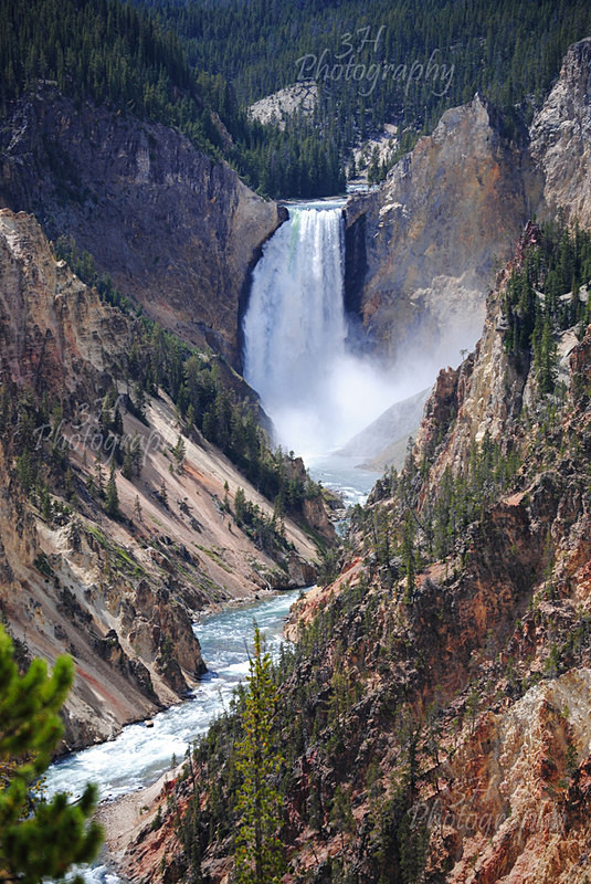 Lower Falls-Yellowstone - Grand Teton & Yellowstone National Park Landscapes