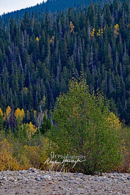3HPhotography10-6-24_RMNP_0412_ - Western U.S. Landscapes
