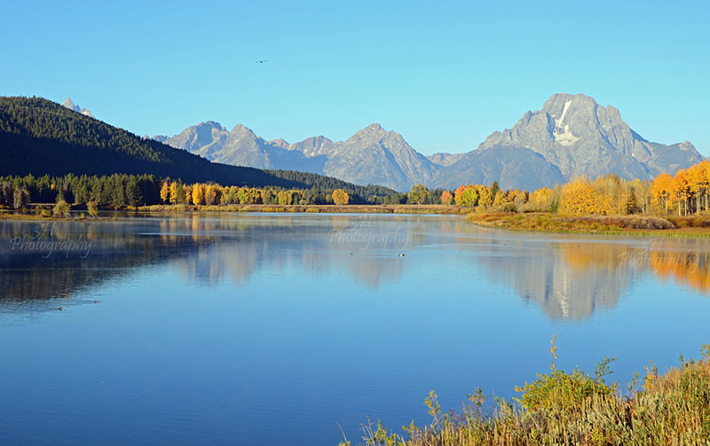 Fall in Grand Teton - Grand Teton & Yellowstone National Park Landscapes